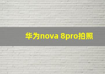 华为nova 8pro拍照